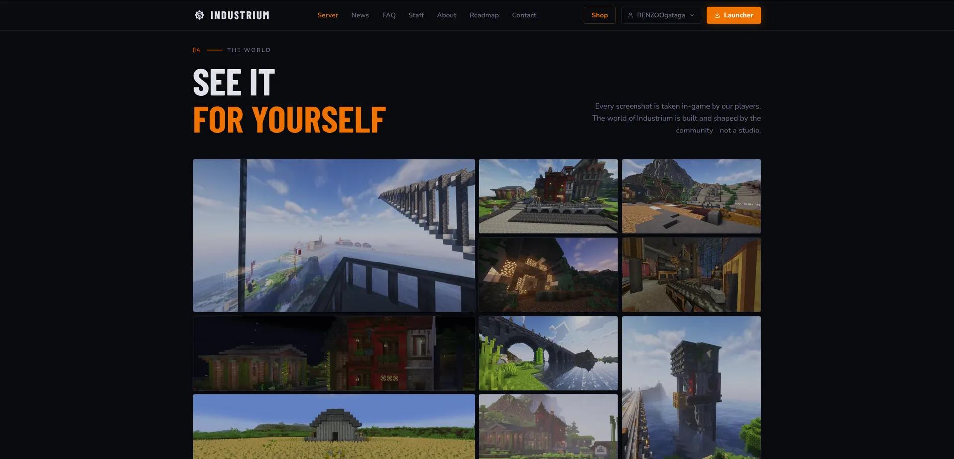 Industrium's Website — image 4